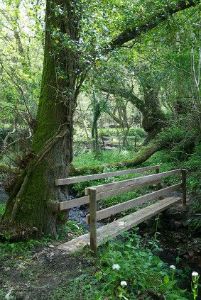 Photograph of the Kilkhampton Common river walk. Two wooden footbridges span the river which runs through a wooded area.