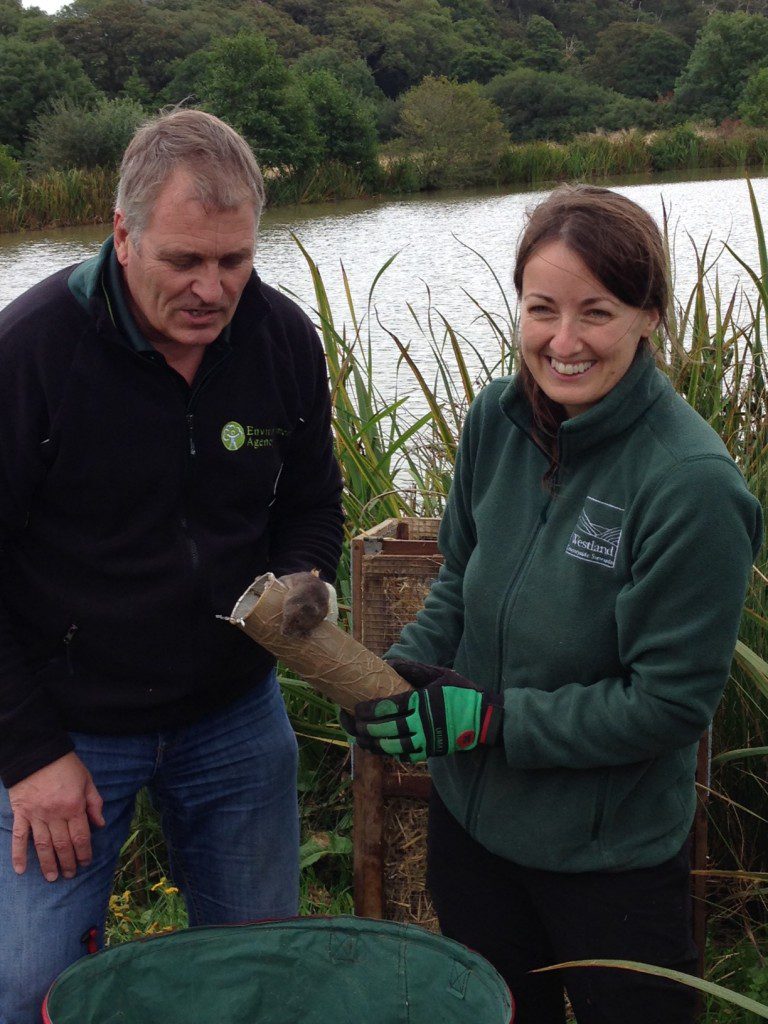 Alastair Driver (Environmental Agency) and Emma Cox (Westland Countryside Stewards). Emma is holding a water vole about to be released into the wild.