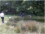 Pond dipping on Kilkhampton Common