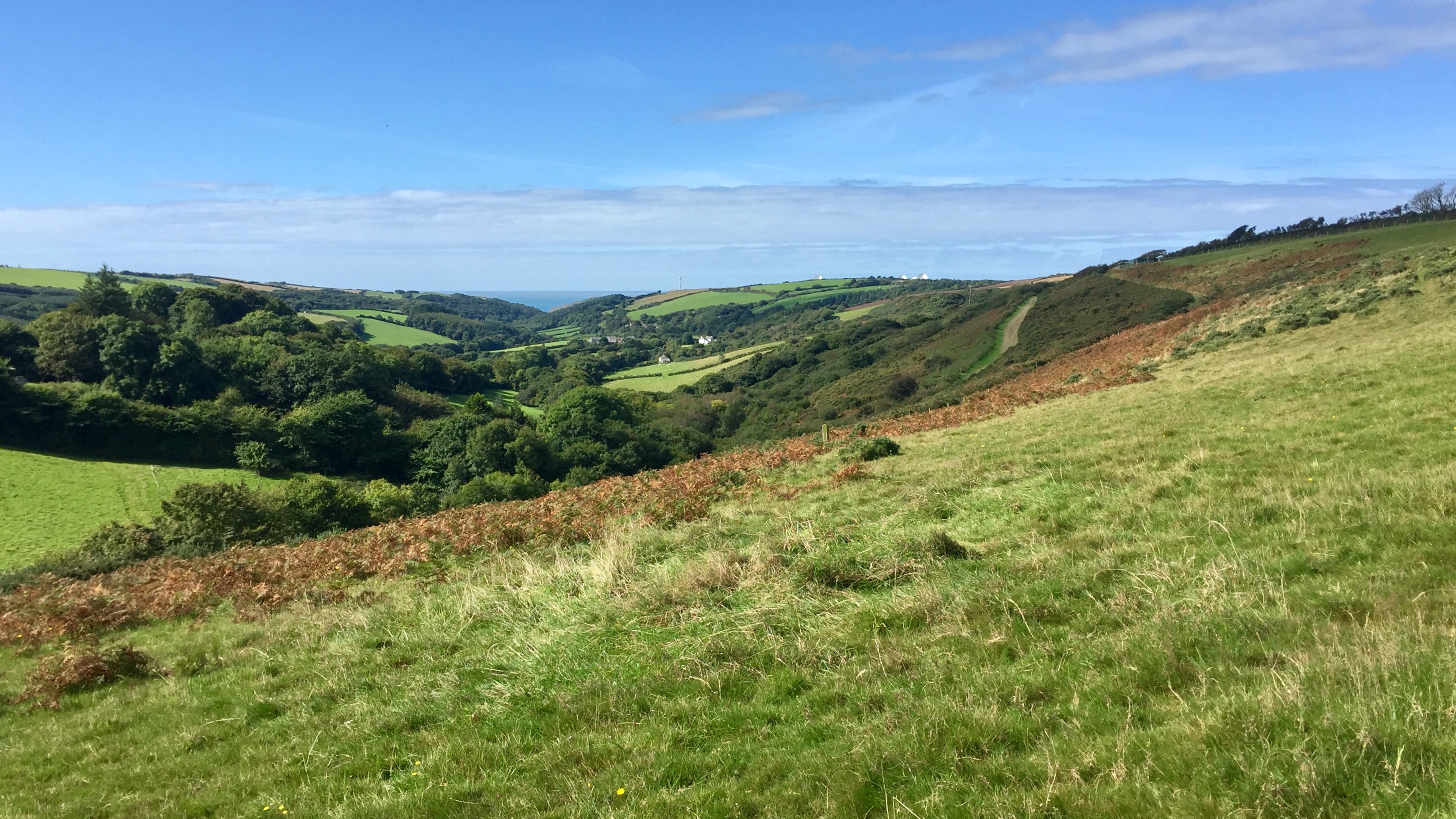 A photograph of Kilkhampton Common looking towards the Atlantic. Green sloping grassland, wooded valleys with the sea in the far distance.