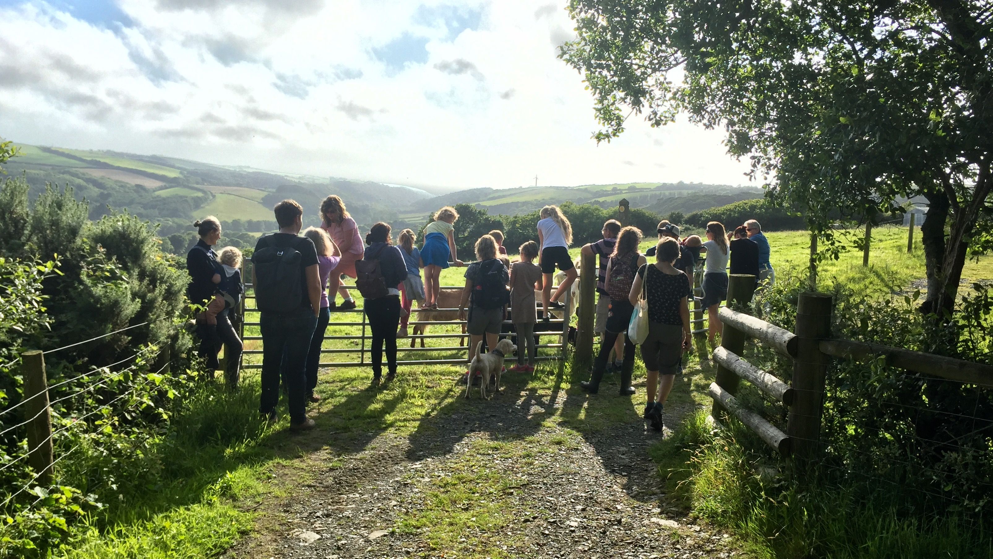 People who joined Westland Countryside Stewards for the charity walk around Kilkhampton Common