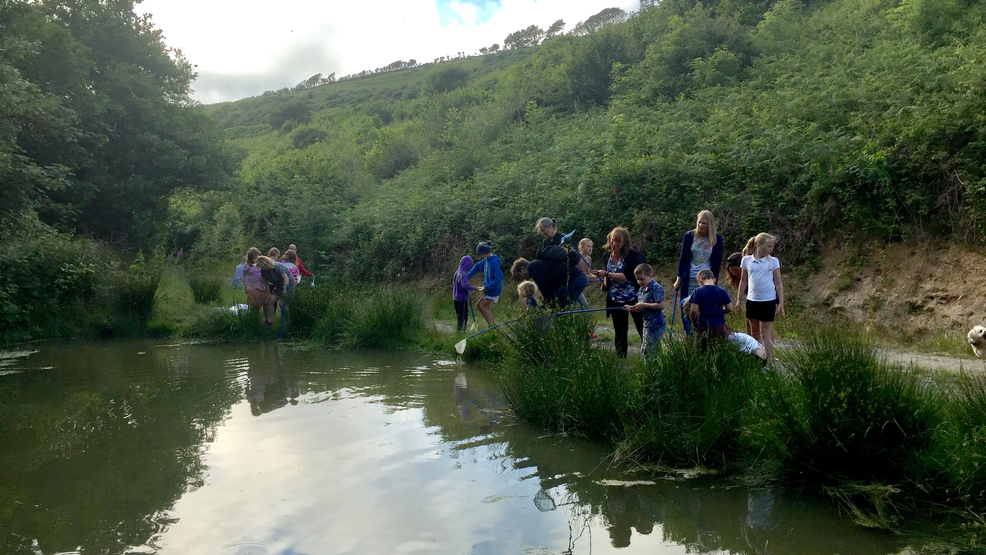 Children and adults taking part in pond dipping on the walks of Kilkhampton Common Cornwall with Westland Countryside Stewards