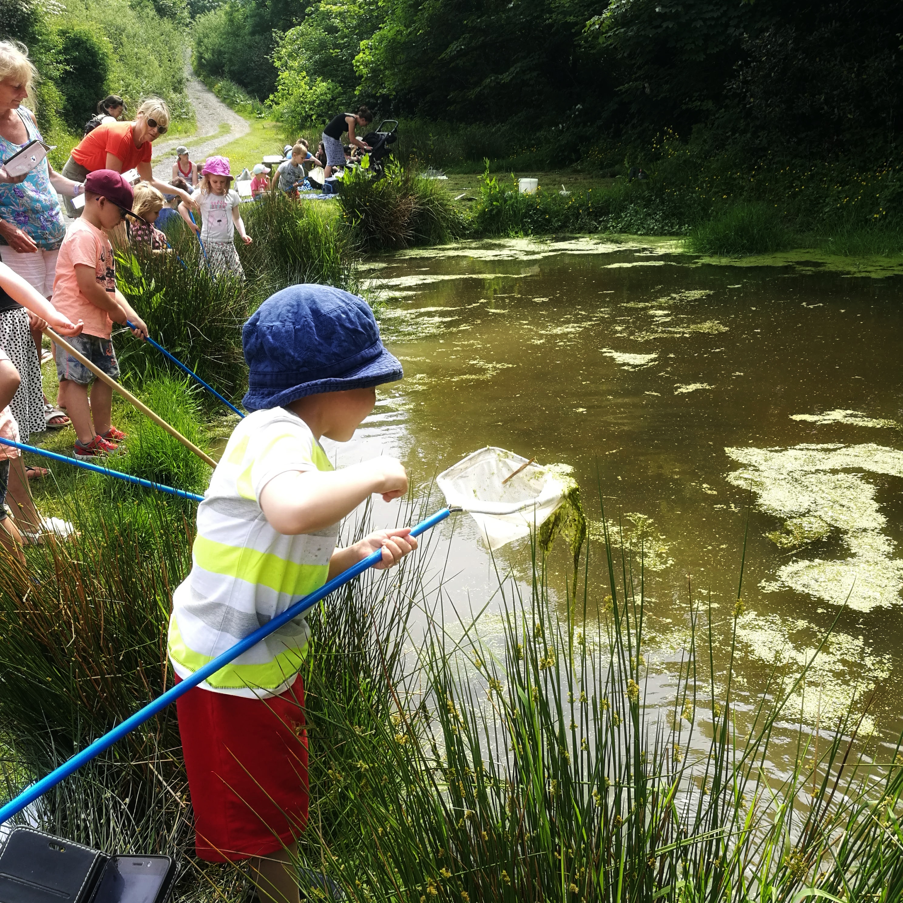 Westland Countryside Stewards Pond Dipping Event Lower Pond on Kilkhampton Common. Numerous families lining the pond with children dipping nets into the water