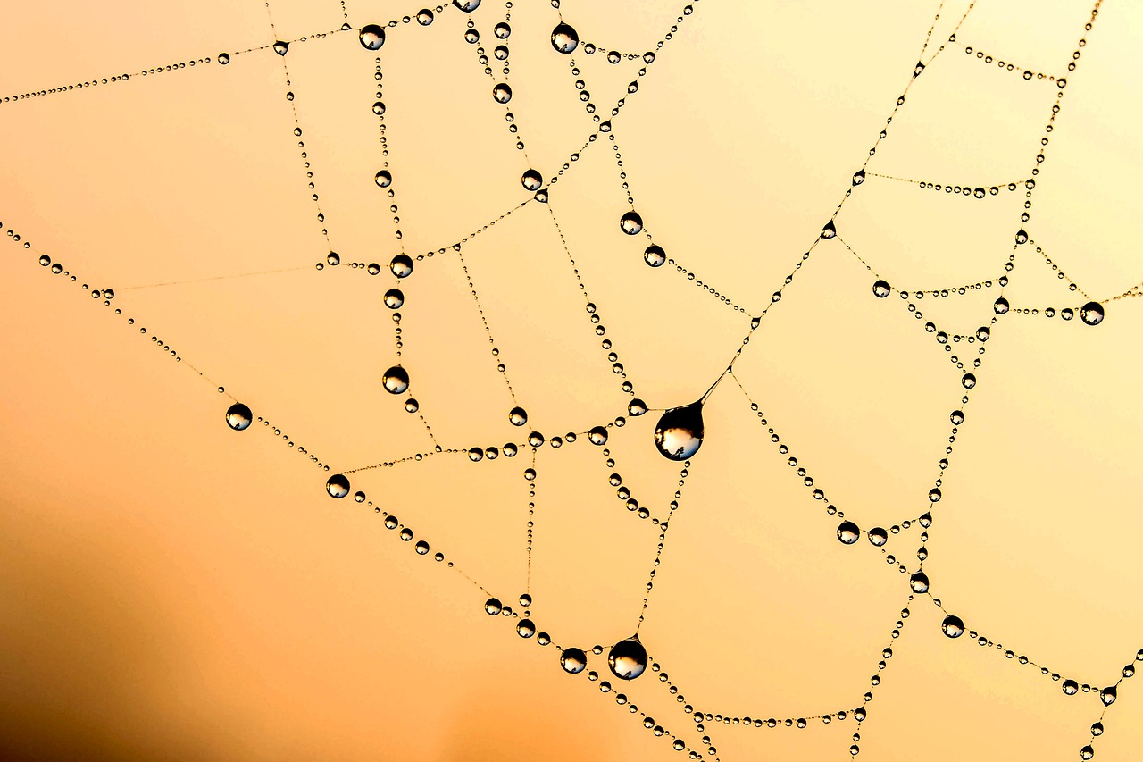 A close up photograph of a section of a spider web with tiny water beads against a pale orange background.